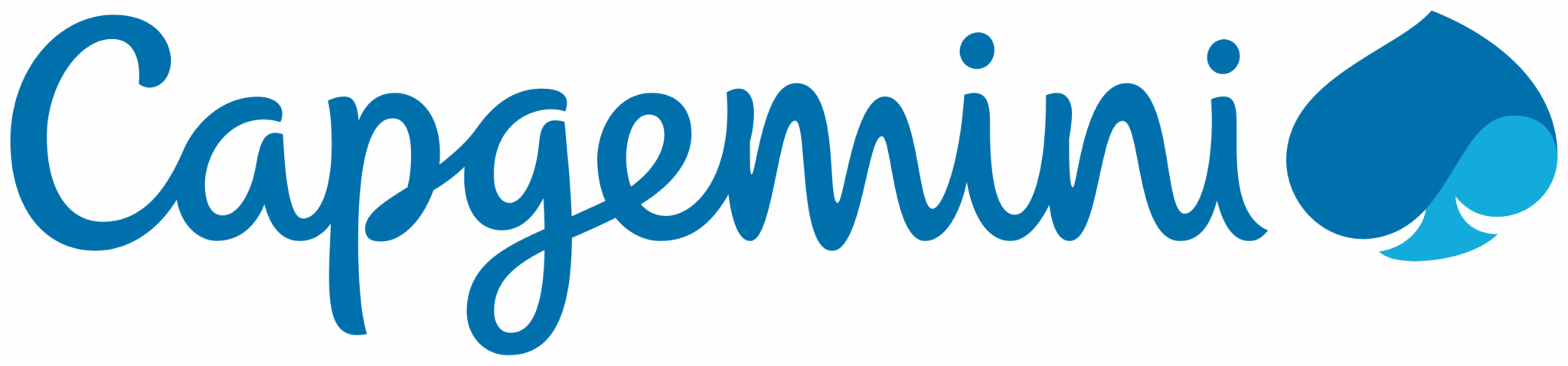 Capgemini_201x_logo.svg.png
